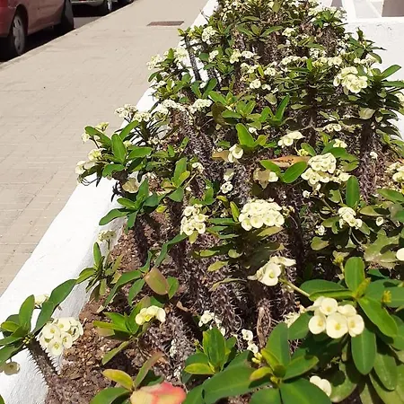 Port Royale Montana *